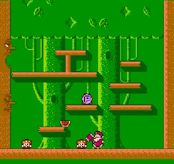 Don Doko Don (Japan) screen shot game playing